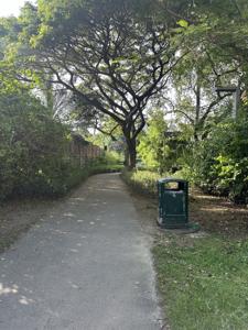 Running photo 1